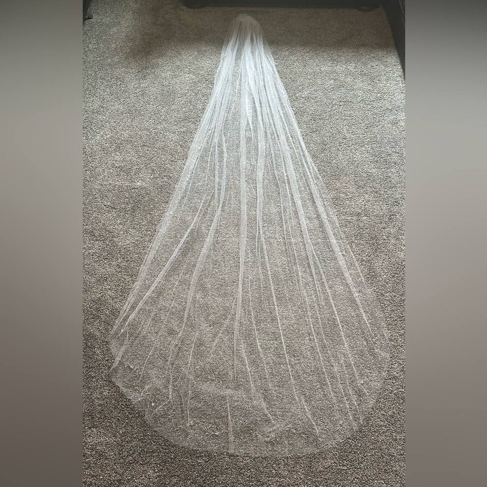 Elegant White Cathedral and blusher Bridal Veil with complete rhinestone detail